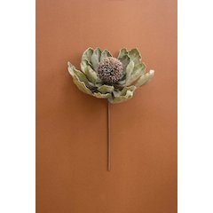 Botanica #3689