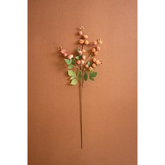 Botanica #3697