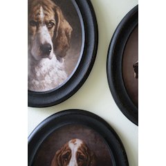 Set Of Four Framed Oval Dog Prints