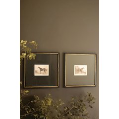 Set of Two Framed Horses Print Under Glass