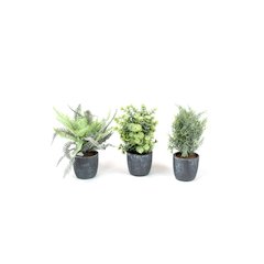 Set Of Three Ferns With Round Grey Pots