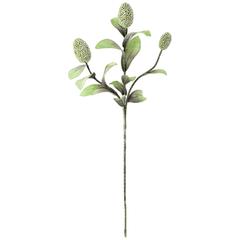 Botanica #2065