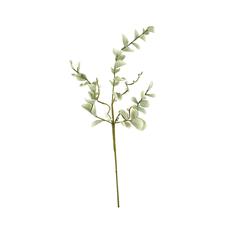 Botanica #2496