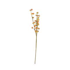 Botanica #2537