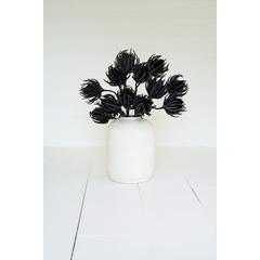 Botanica #2697