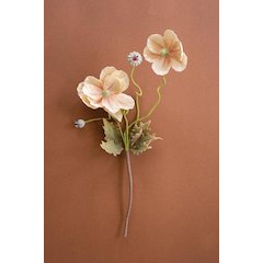 Botanica #2798