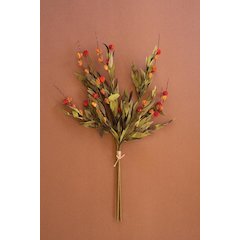 Botanica #2818