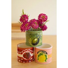 Set Of Three Ceramic Canned Goods Planters