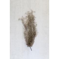 Artificial Grey Moss