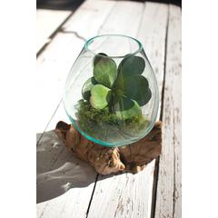 Blown Glass Bowl On Driftwood Base - Large