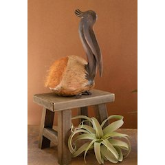Coco Pelican Sitting