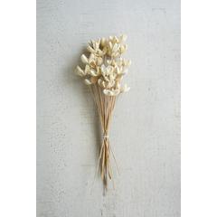 Bundle Of 24 Bleached Bullet Flowers On Stems
