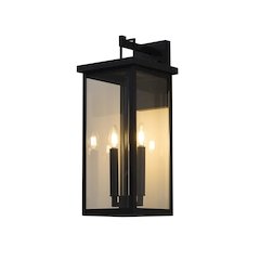 2-Light Matte Black Outdoor Wall Sconce With A Clear Glass Shade