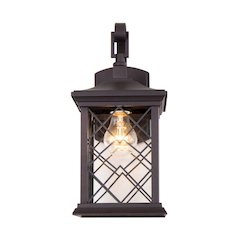 1-Light Bronze Metal Outdoor Wall Sconce With A Clear Glass Shade