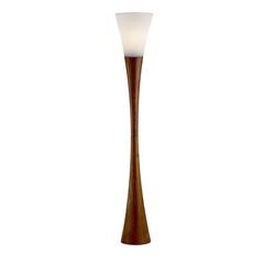 Espresso Floor Lamp