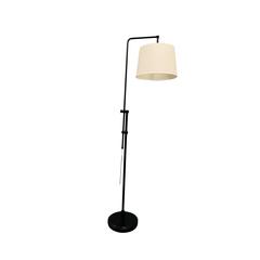 Crown Point Adjustable Downbridge Floor Lamps