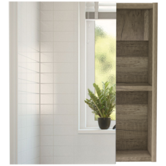 Lincoln Medicine Cabinet w/ Mirror