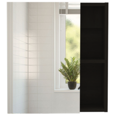 Lincoln Medicine Cabinet w/ Mirror