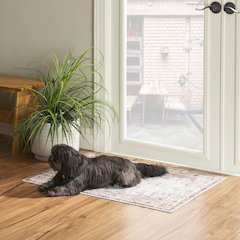 Washable Lennox Pale Blue/Ivory 2x3, Rug