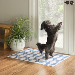 Washable Seabourne Ivory/Blue 2x3, Rug