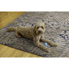 Outdoor Washable Ocala Navy & Sand 7' X 9', Rug