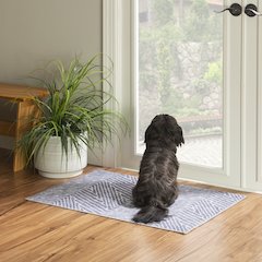 Washable Fuller Grey/Ivory 2x3, Rug