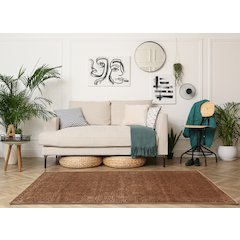Evolution Damask Brown 5x7.6, Rug