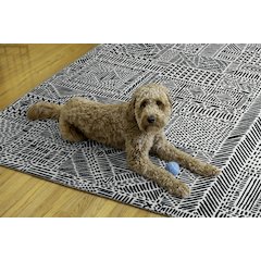 Washable Cayden Ivory/Black 5x7, Rug