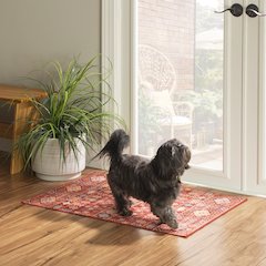 Washable Devlin Red/Ivory 2x3, Rug