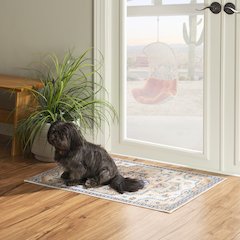 Washable Julian Ivory/Gold 2x3, Rug