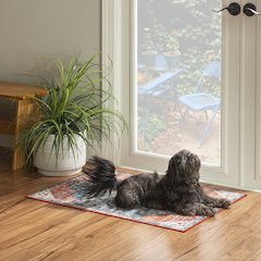Washable Markum Teal/Rust 2x3, Rug