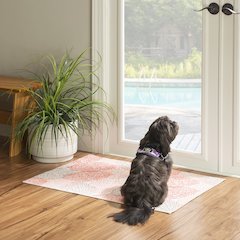Washable Haylee Ivory/Coral 2x3, Rug