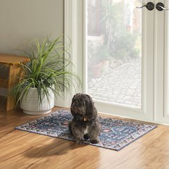 Washable Larson Navy/Ivory 2x3, Rug