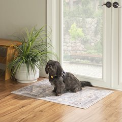 Washable Parson Grey/Beige 2x3, Rug