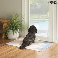 Washable Kyler Beige/Blue 2x3, Rug