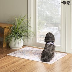Washable Micah Pink/Gold 2x3, Rug