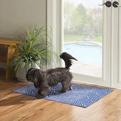 Washable Fuller Blue/Ivory 2x3, Rug