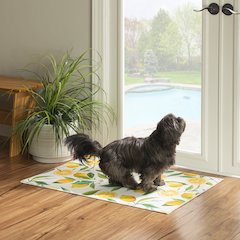Washable Sumner Ivory/Yellow 2x3, Rug