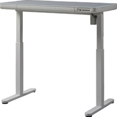 48" Electric Height Adjustable Standing Desk With Tempered Glass Top，White