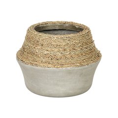 Nature Milk Jug Grass and Concrete Pot