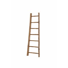 D-Bodhi Ladder