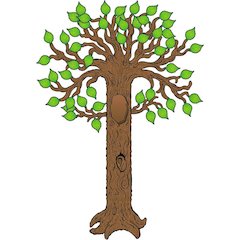 Big Tree Bulletin Board Set