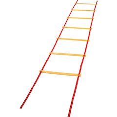 Economy Agility Ladder