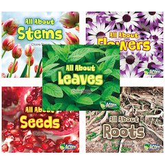 ALL ABOUT PLANTS 5 BOOK SET