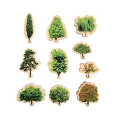 Learning Game Seasons Wooden Trees