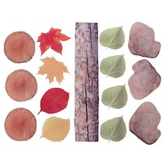 Nature's Footsteps - Set of 15 Nature-Inspired Rubber Mats - Ages 3+