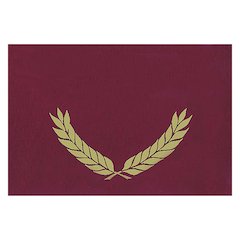 EMBOSSED CERTIFICATE FOLDERS MAROON