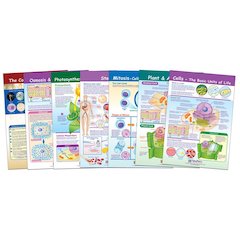Cells Bulletin Board Chart Set, Grades 3-5
