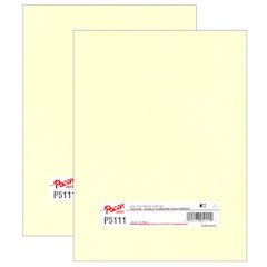 Heavyweight Tagboard, Manila, 9" x 12", 100 Sheets Per Pack, 2 Packs