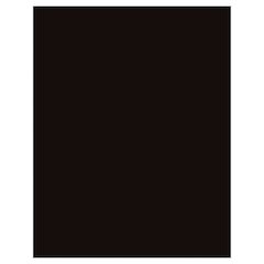 Pstrbd 18 Pt Ctd 22X28 Black 25Ct